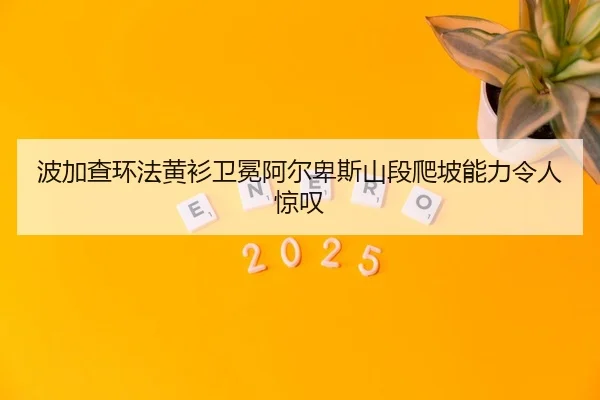 波加查环法黄衫卫冕阿尔卑斯山段爬坡能力令人惊叹