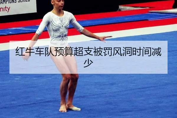 红牛车队预算超支被罚风洞时间减少