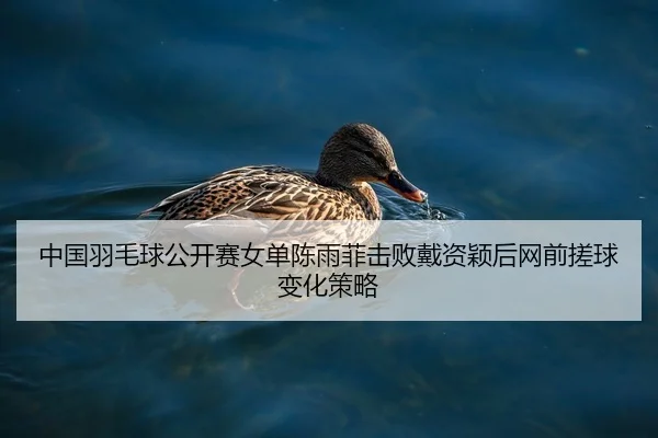 中国羽毛球公开赛女单陈雨菲击败戴资颖后网前搓球变化策略